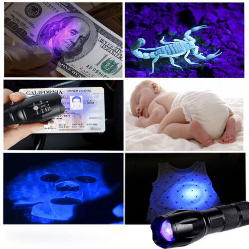 UV Ultra Violet Torch Light Super Bright Rechargeable LED Flashlight