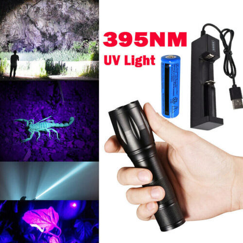 UV Ultra Violet Torch Light Super Bright Rechargeable LED Flashlight